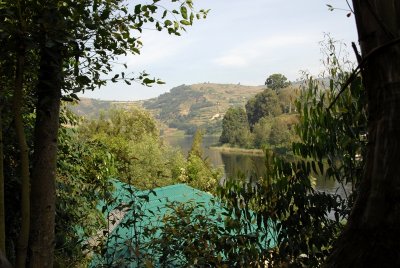 Bunyoni  Lake
