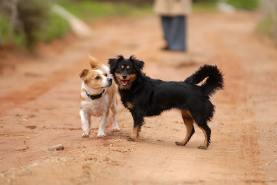 Sandy and Bridget Gallery
