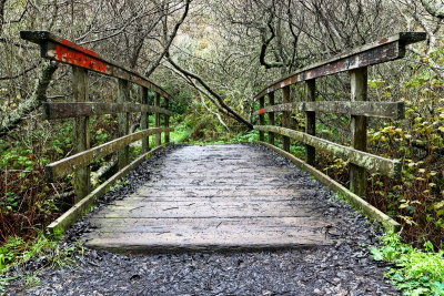 Path to Alamere Falls
