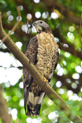 DSC_7424.JPG