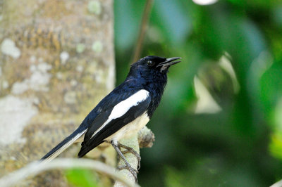DSC_9894.JPG