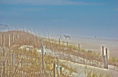 DSCN0758_2.jpg_Emerald Isle Pier