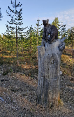 Boreal Wildlife Centre - Viiksimo