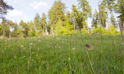 g9/18/589018/3/164510408.s9vrO2Qm.jpg