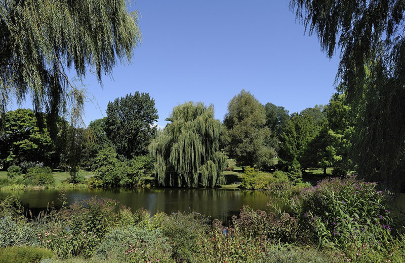 Resize of _DSC8394.jpg