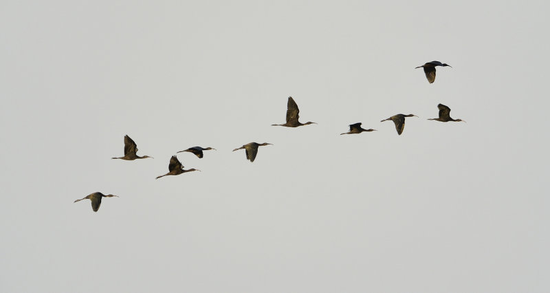 Resize of _DSC2157.jpg