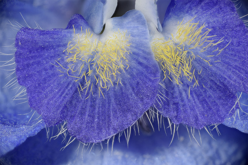 2015-03-14-17.01.19 ZS PMax.jpg