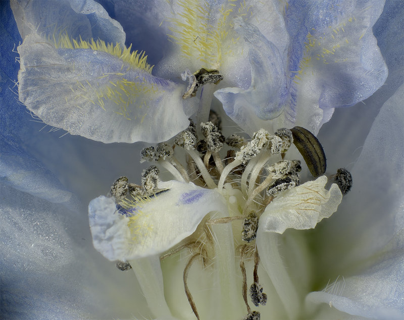 2015-03-15-10.48.00 ZS PMax.jpg