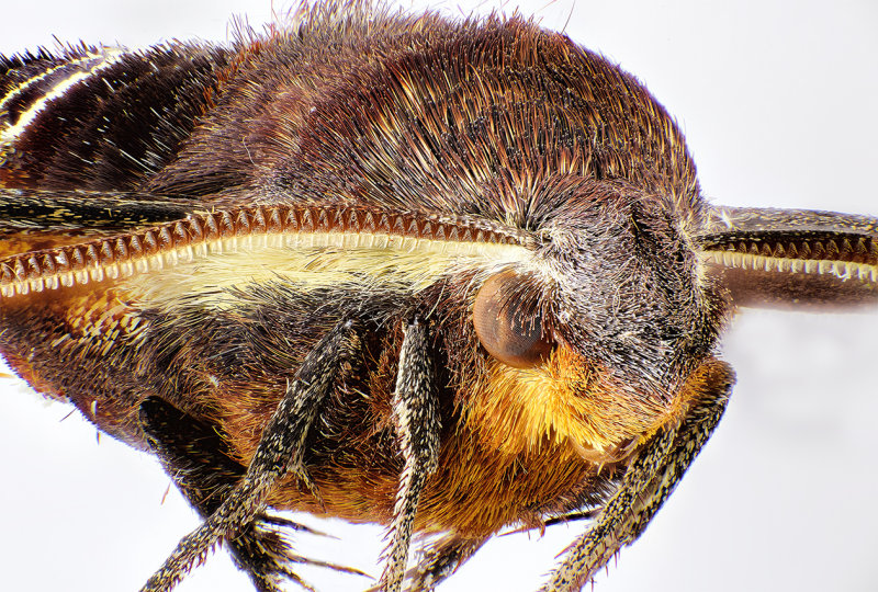 2015-06-07-15.06.42 ZS retouched.jpg