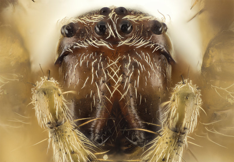 2015-10-30-12.09.16 ZS retouched.jpg