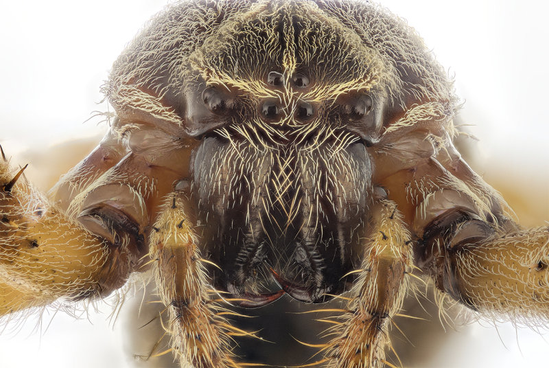 2015-11-03-19.19.21 ZS retouched.jpg