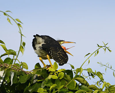 _DSC8833.jpg