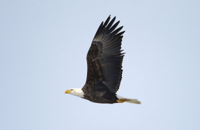 _DSC9878.jpg