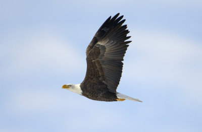 _DSC9894_1.jpg