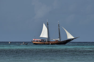 _DSC6823.jpg