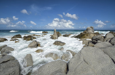 _DSC7386.jpg