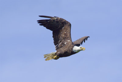 _DSC5882-1.jpg