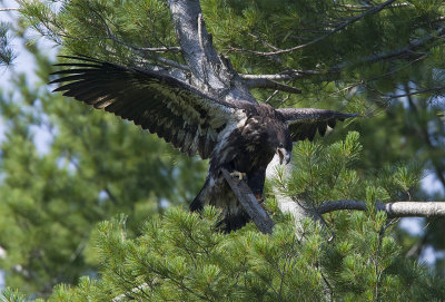 _DSC6007-1.jpg