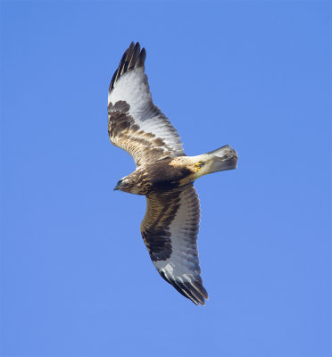 _DSC6120-1.jpg