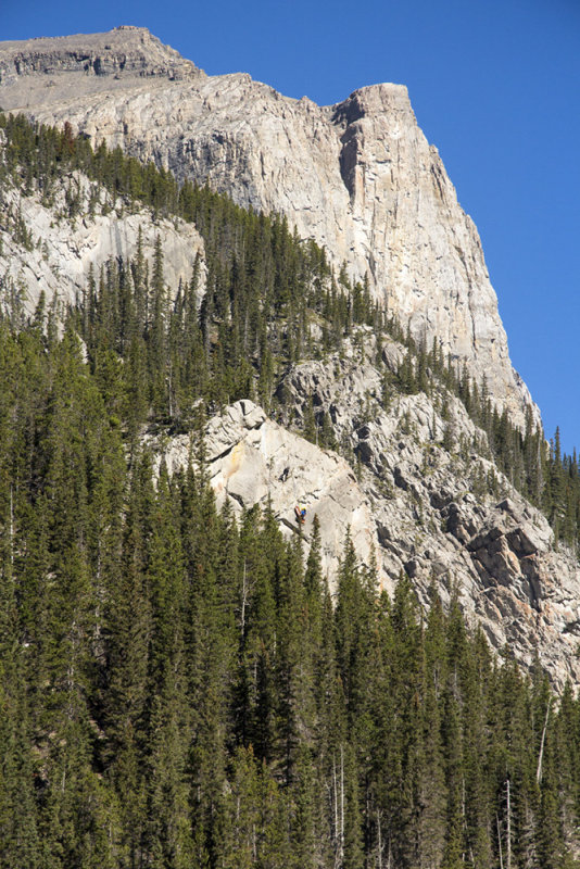 Mountain Rescue?