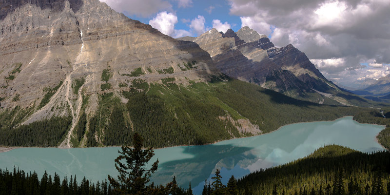 Peyto Lake II