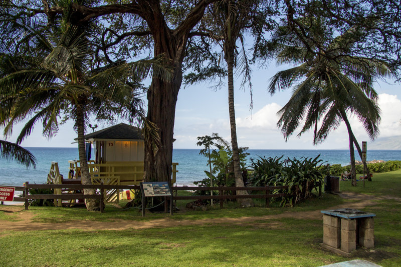 Lifeguard Hut