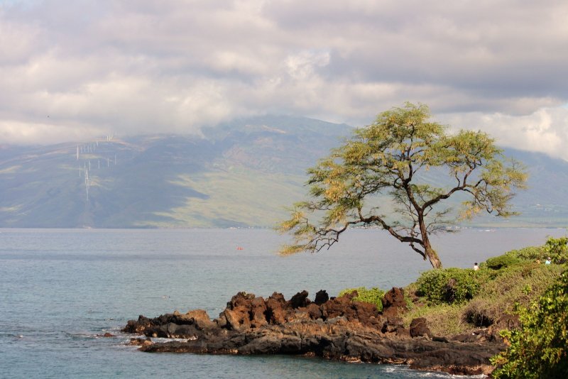 Along the Wailea Beach Path