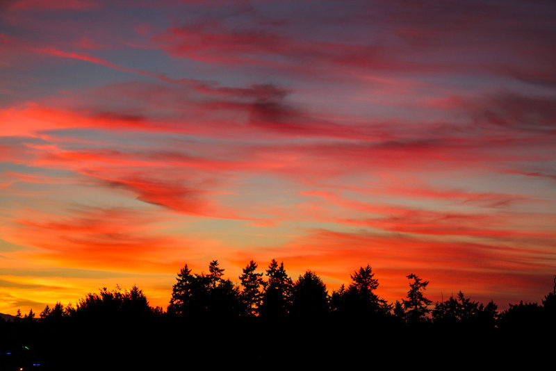 Fire in the Sky