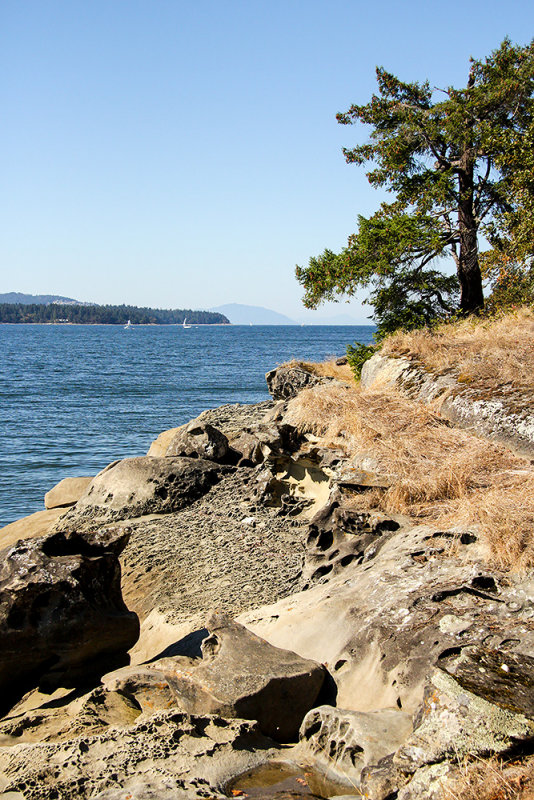 Jack Point - Biggs Park