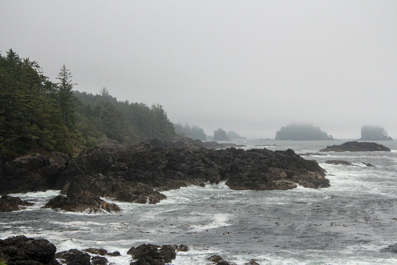 Wild Pacific Trail