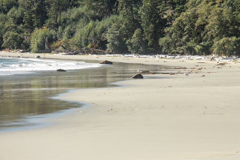 Florencia Bay (Wreck Bay)