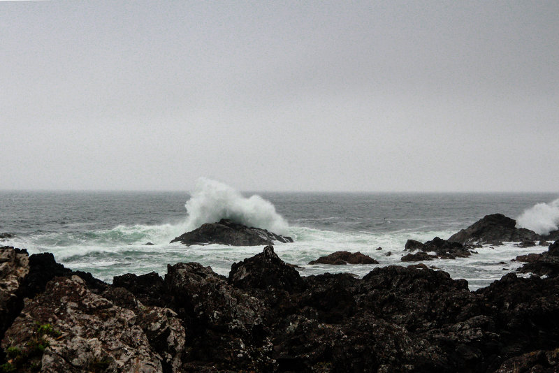 Wild Pacific Trail