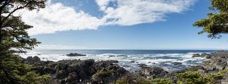 Wild Pacific Trail view