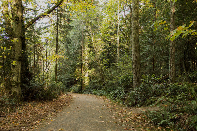 Path in Ruckle Provincial Park