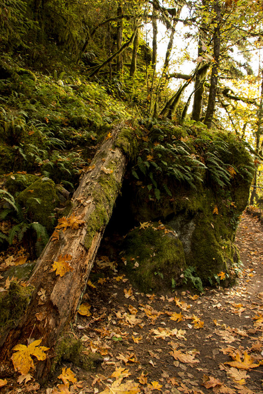 Stamp River Provincial Park