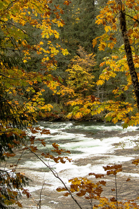 Stamp River Provincial Park