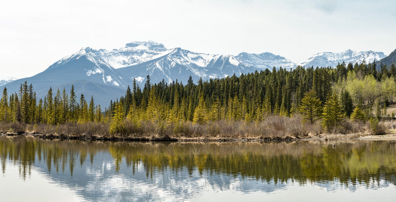 Vermilion Lakes