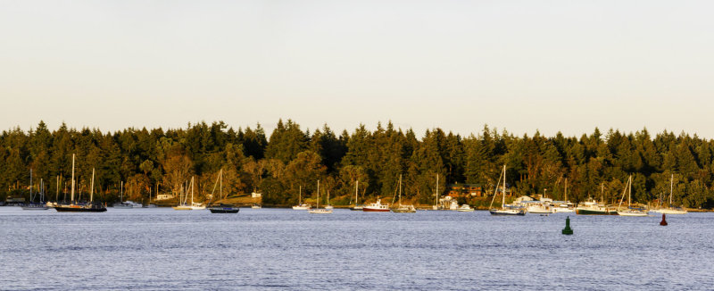 Protection Island at Sunset