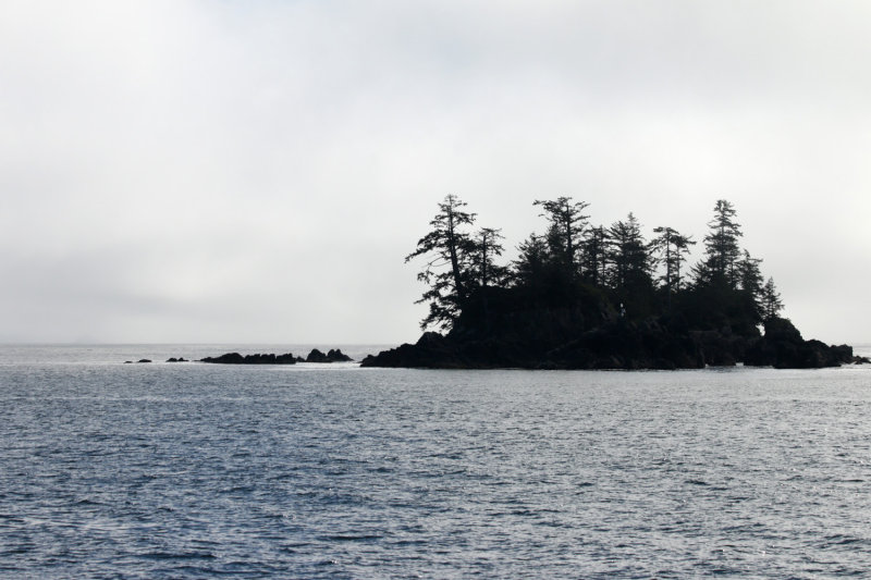 Foggy Broken Island View