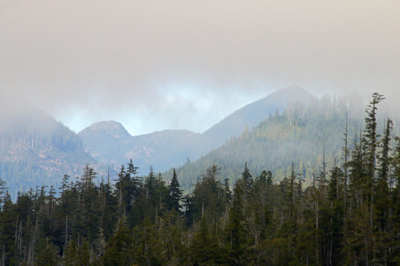 Fog Lifting