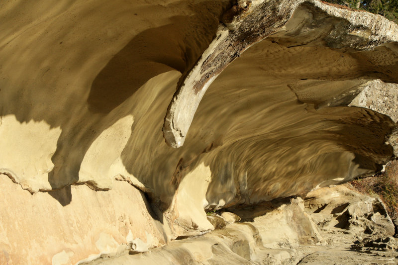 Malaspina Galleries
