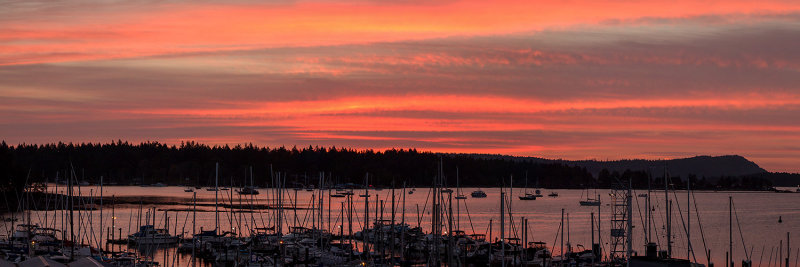 Protection Island Sunrise