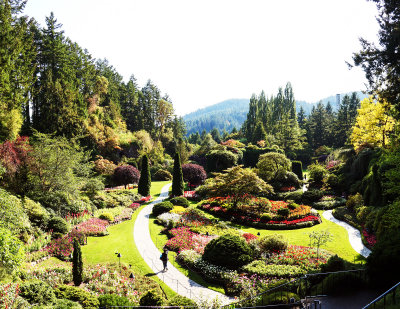 Sunken Garden