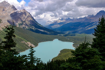 Peyto Lake II