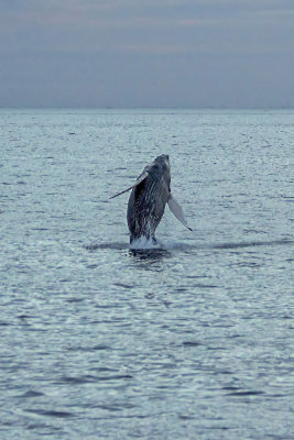 IMG_2142.jpg