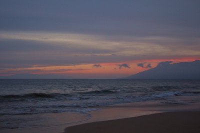 IMG_2521.jpg