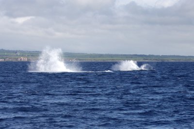 IMG_2724.JPG