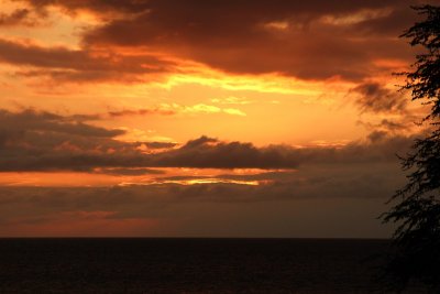 IMG_2840.jpg