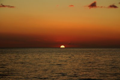 IMG_2950a.jpg