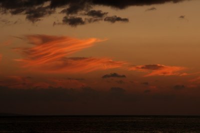 IMG_2968a.jpg